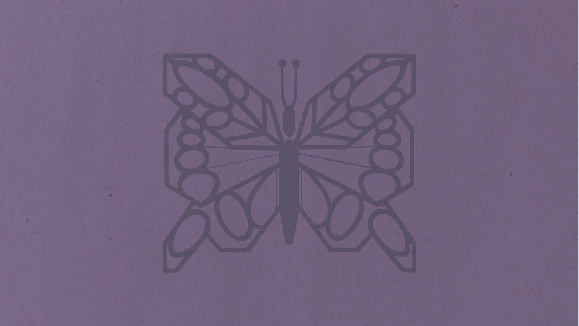 紫色背景上的蝴蝶