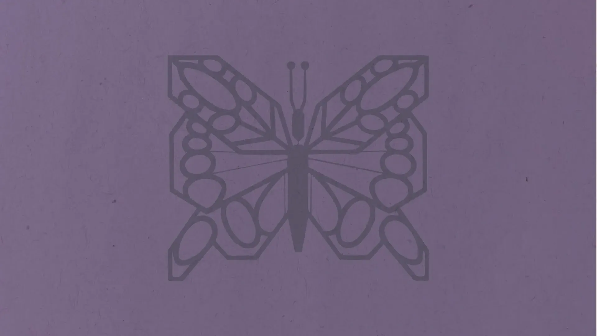 蝴蝶的图像与紫色的背景